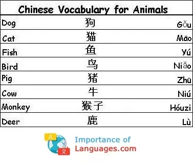 Chinese Words for Animals