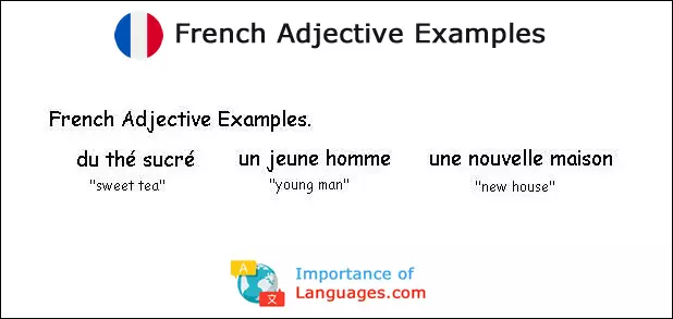 French Adjective Examples