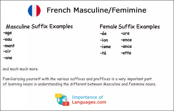 French Masculine Femimine examples 