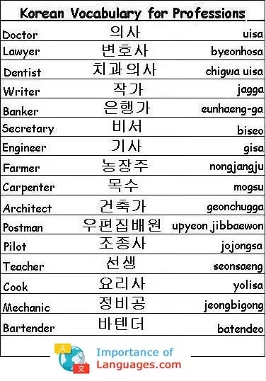 Korean Words for Professionals