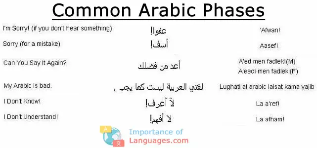 Common Arabic Phases