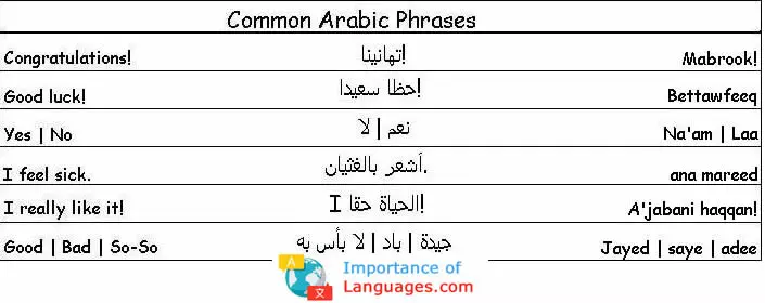 common arabic phases