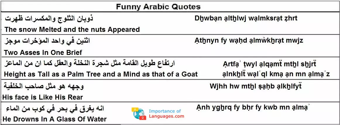funny arabic quotes
