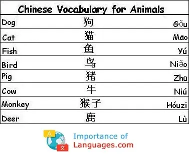 Chinese-Vocabulary-Animals Chinese Words for Animals