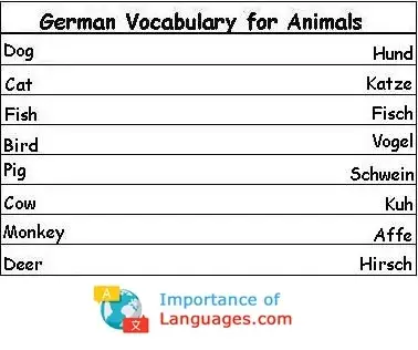 German-words-for-Animals German words for Animals