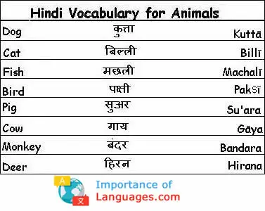 Hindi-Vocabulary-Animals hindi words for animals