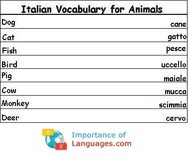 Italian-Vocabulary-Animals Italian Words for Animals