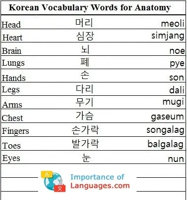Korean-Vocabulary-Words-Anatomy Korean Words for Anatomy