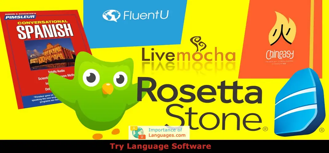 Language-Software Language Software