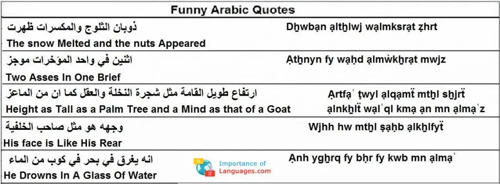 funny-arabic-quotes funny arabic quotes