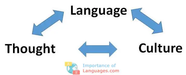 spread-Culture-Carrier-language spread culture carrier language