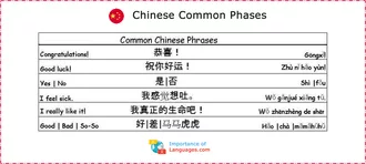 Chinese Common Phases