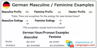 German Masculine Feminine Examples