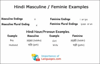 Hindi Masculine / Feminie Examples